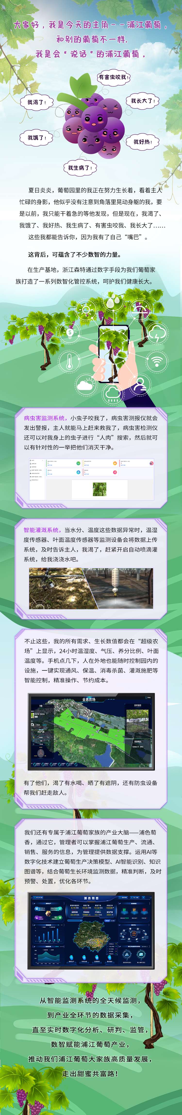 浦江葡萄1(1).jpg